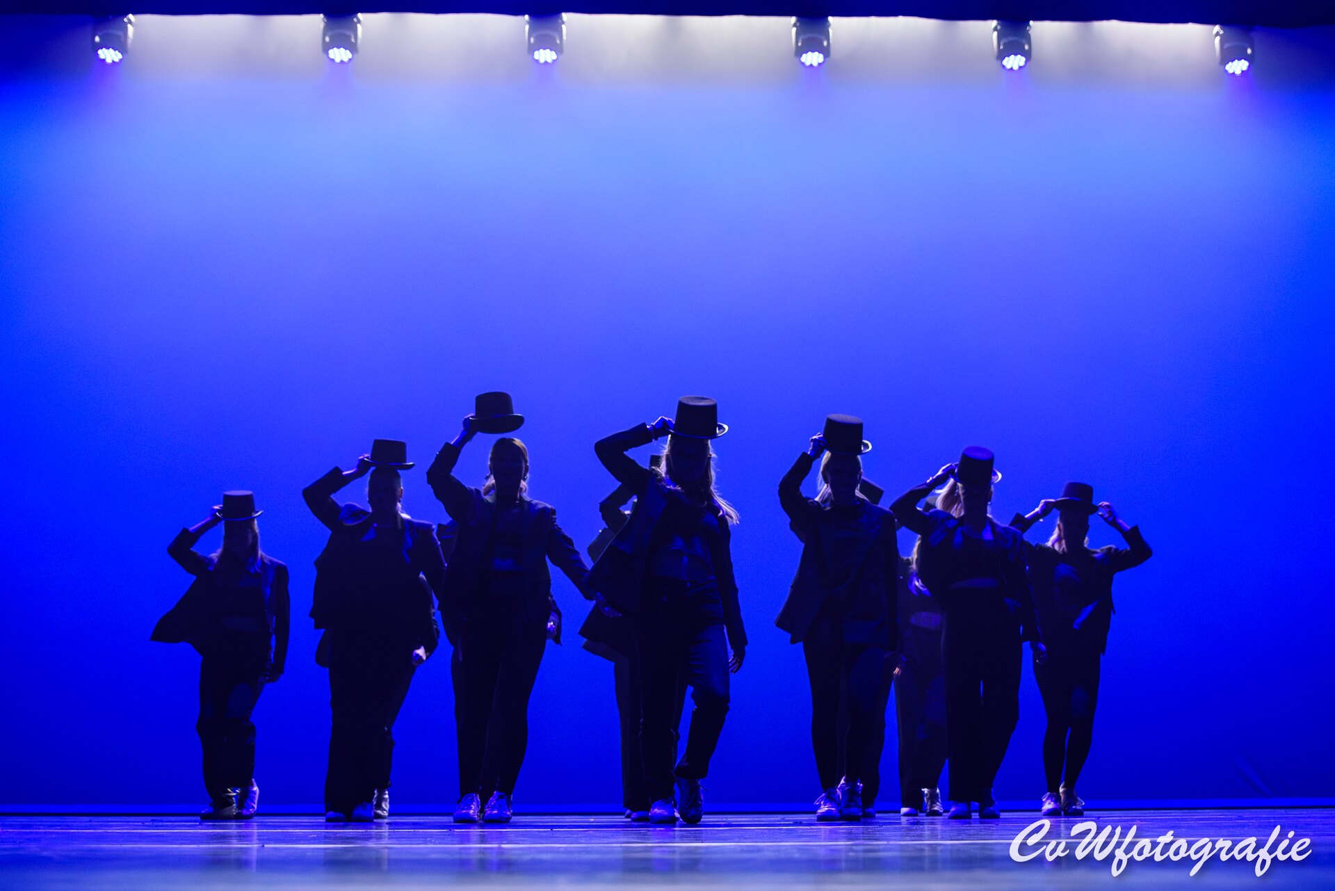 Dansshow 2024 foto 5