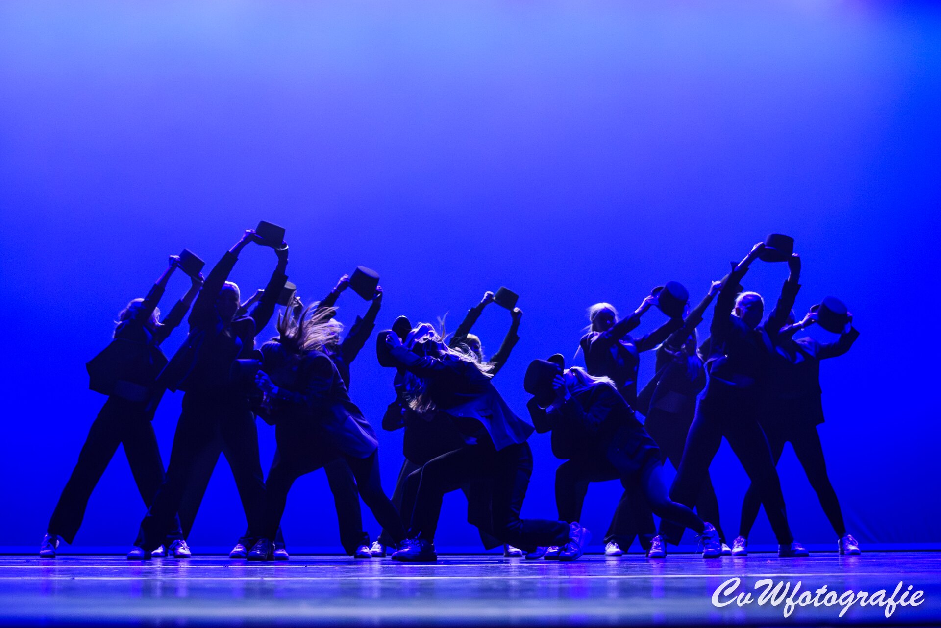 Dansshow 2024 foto 6