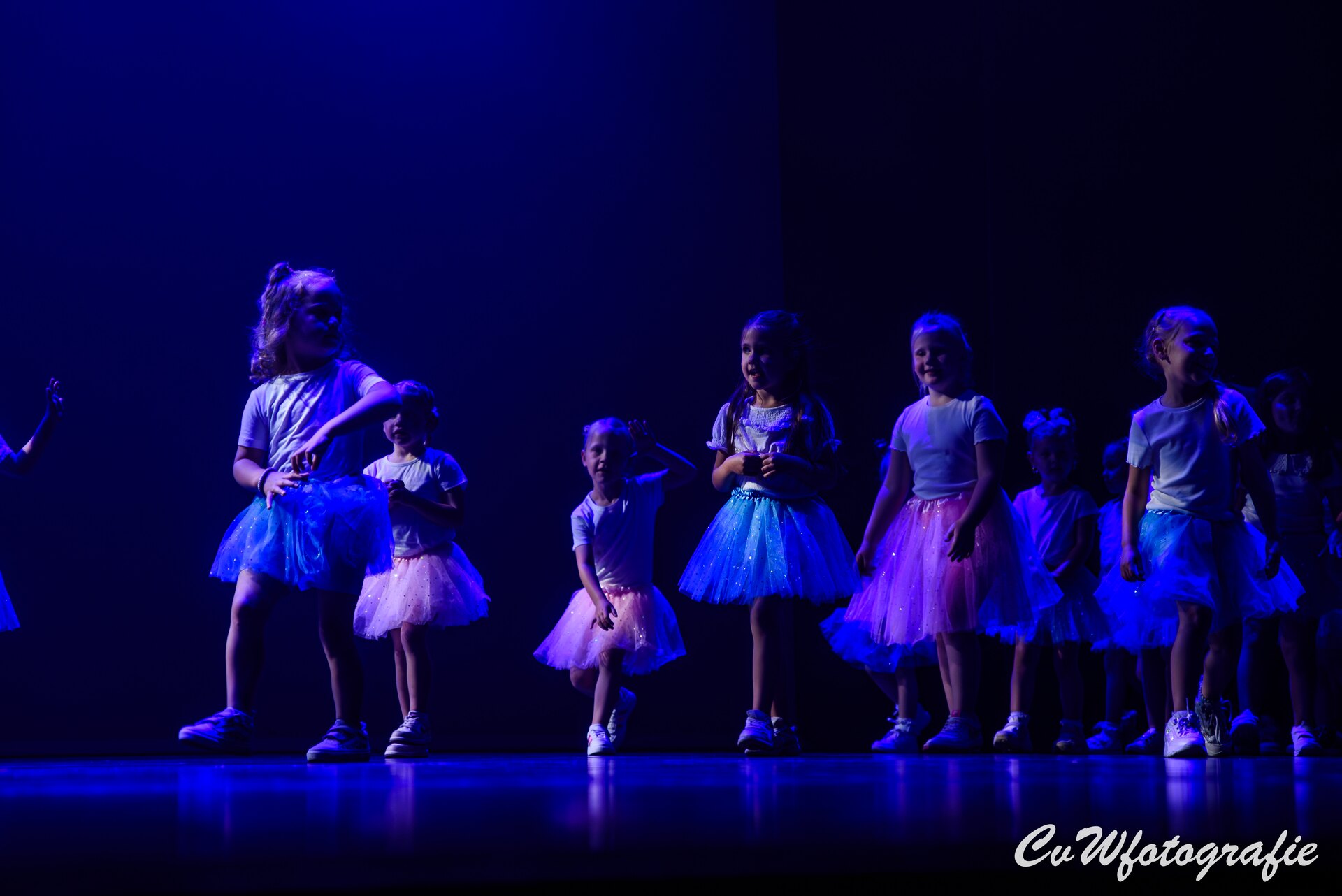 Dansshow 2024 foto 10