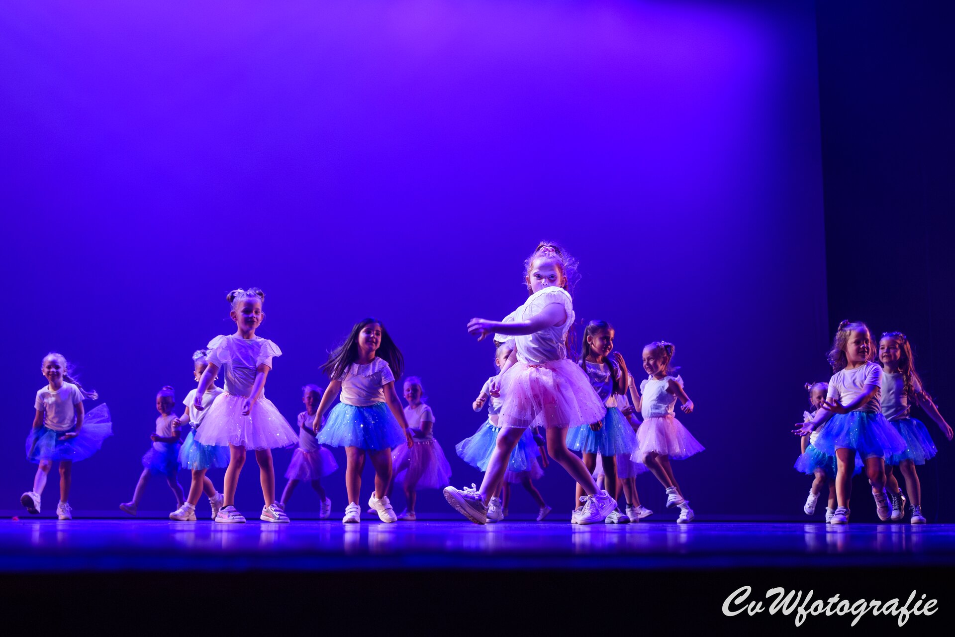 Dansshow 2024 foto 13