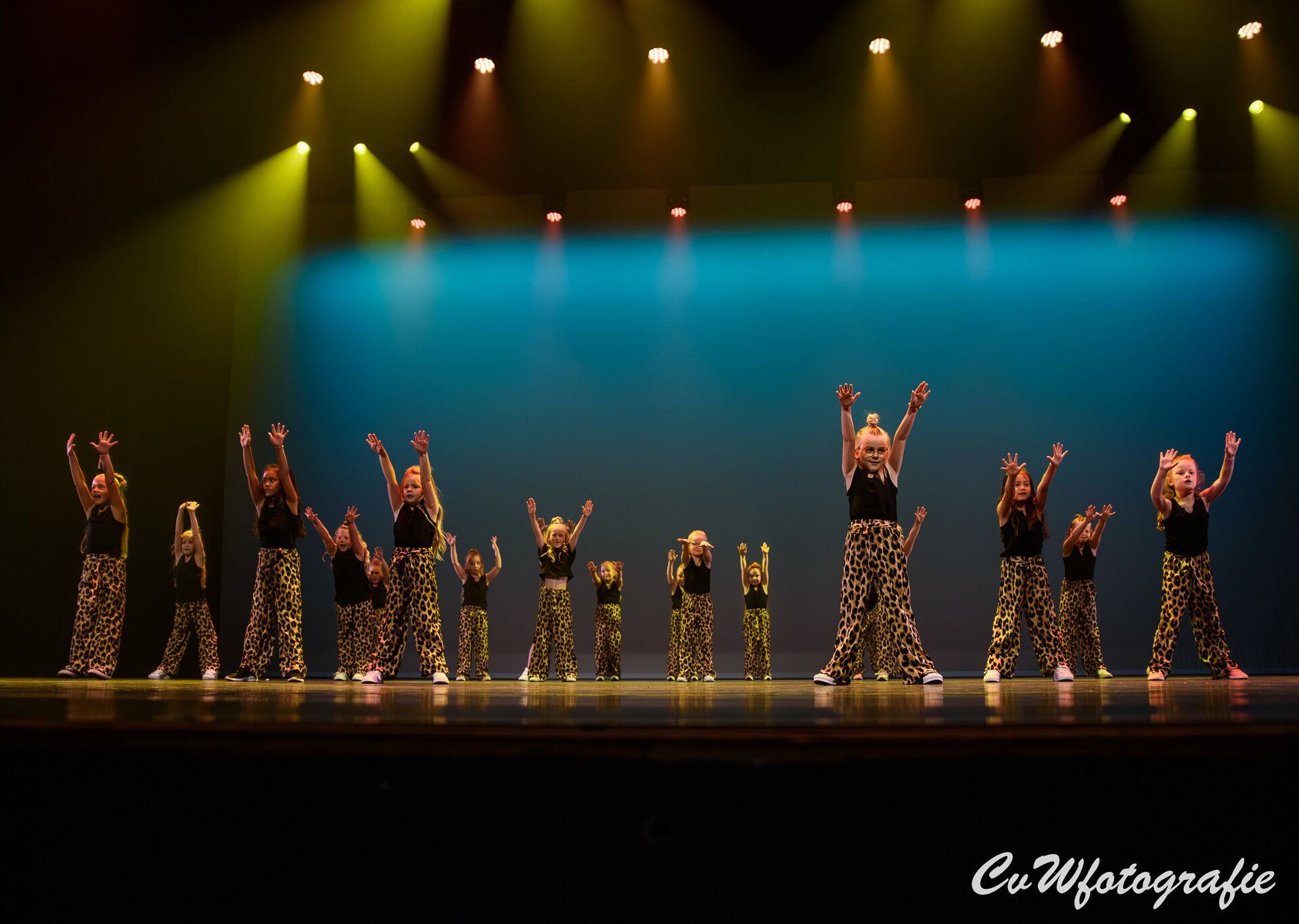 Dansshow 2024 foto 68