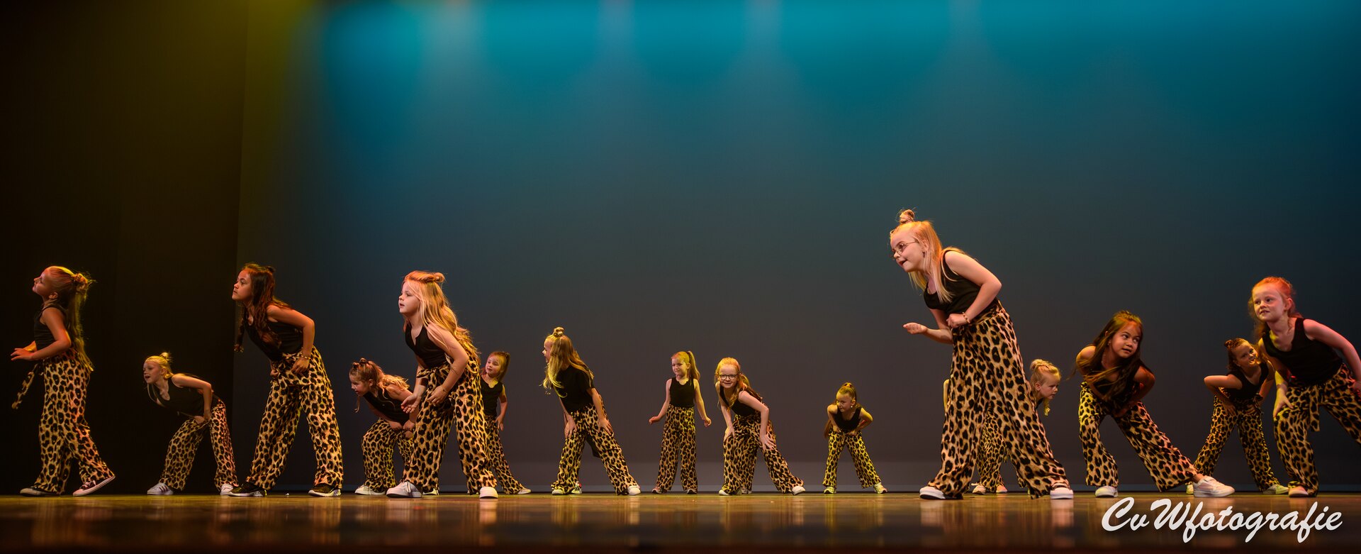 Dansshow 2024 foto 69