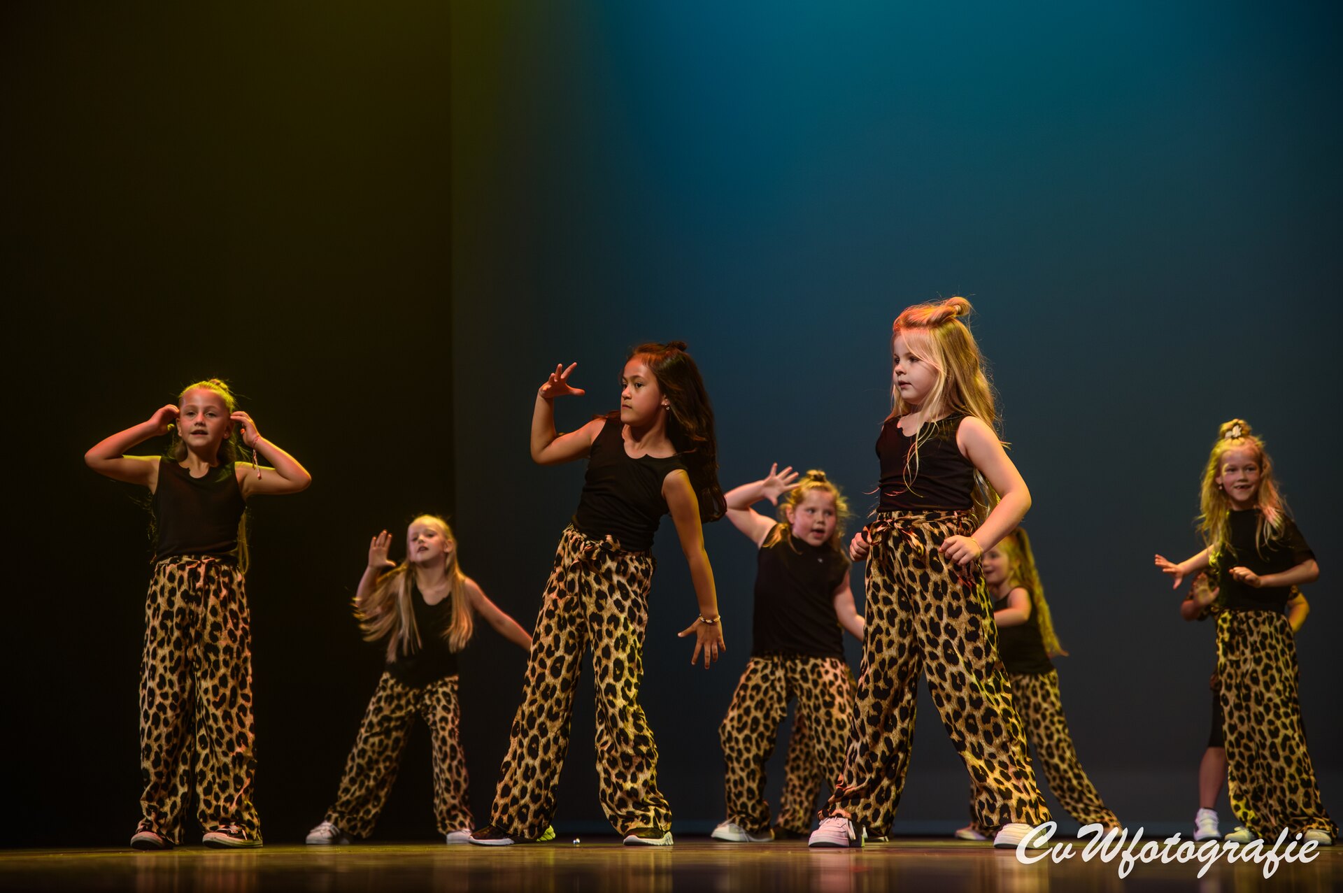 Dansshow 2024 foto 71