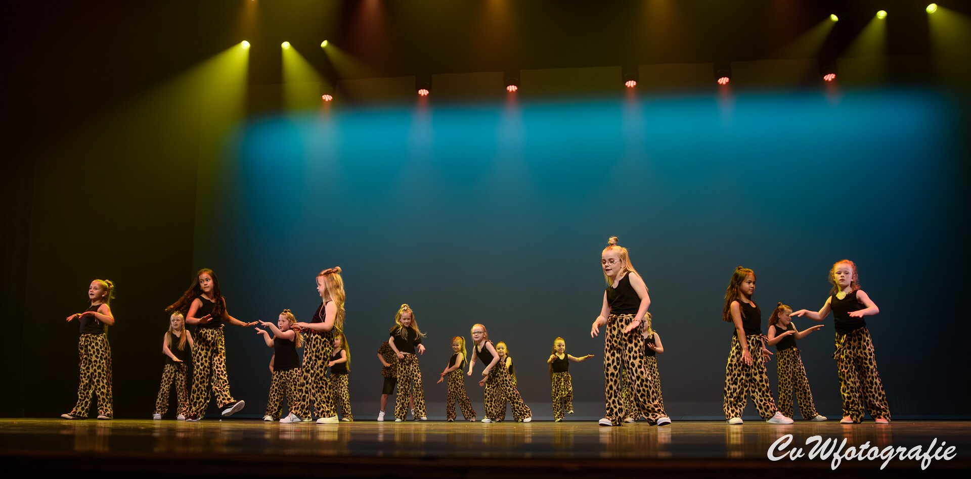 Dansshow 2024 foto 72